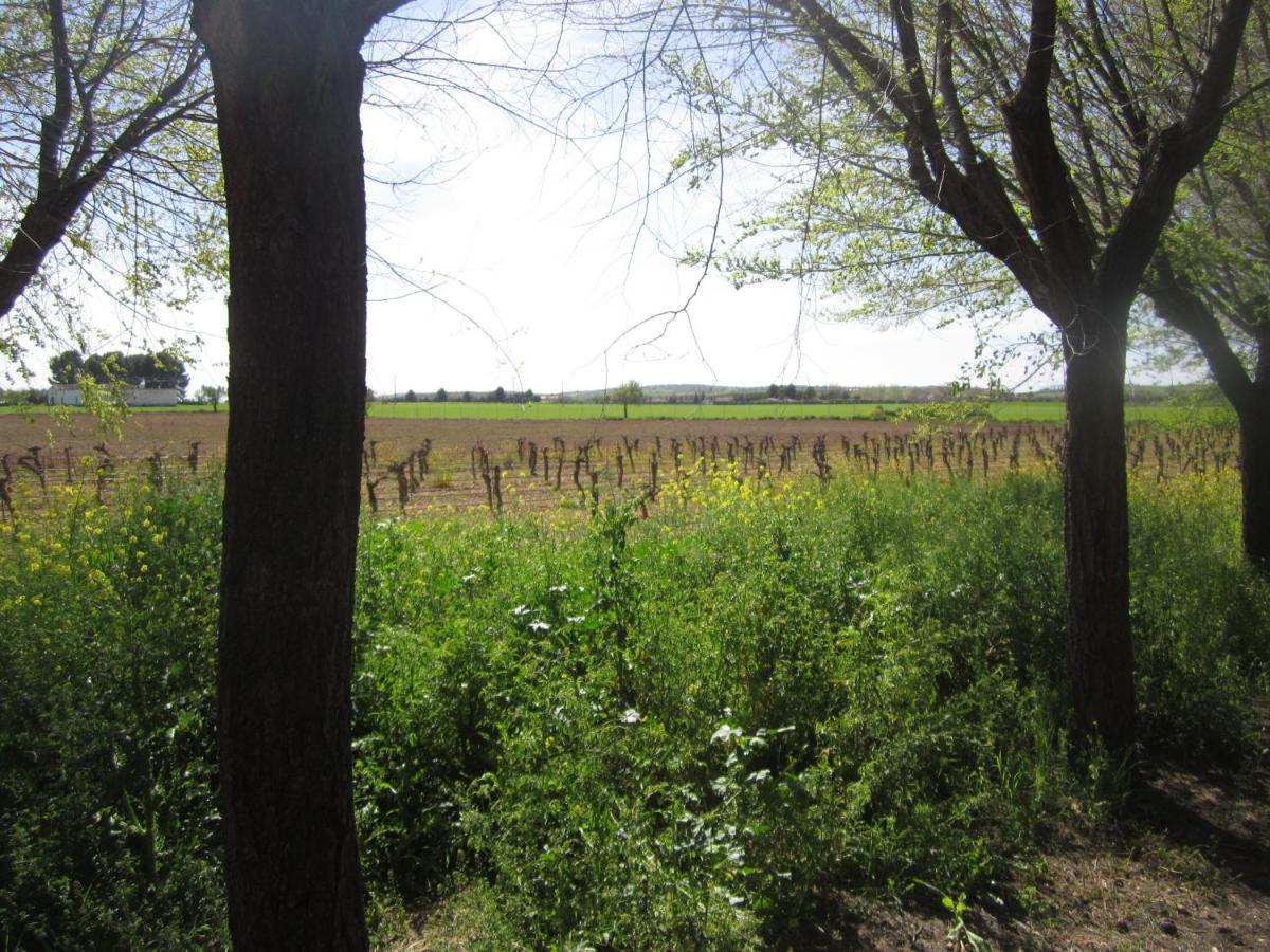 Casa Finca Rural La Huerta Almagro Zewnętrze zdjęcie