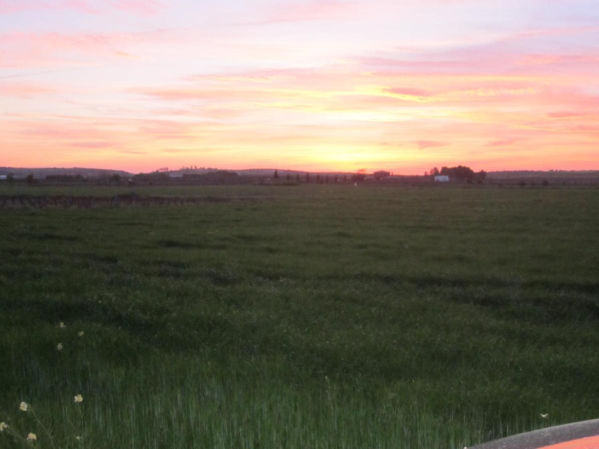Casa Finca Rural La Huerta Almagro Zewnętrze zdjęcie